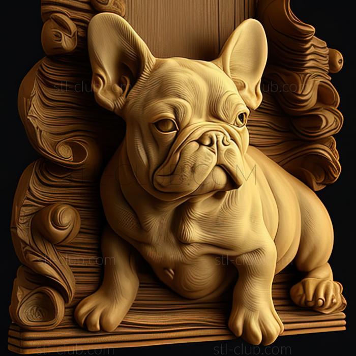 st French Bulldog dog